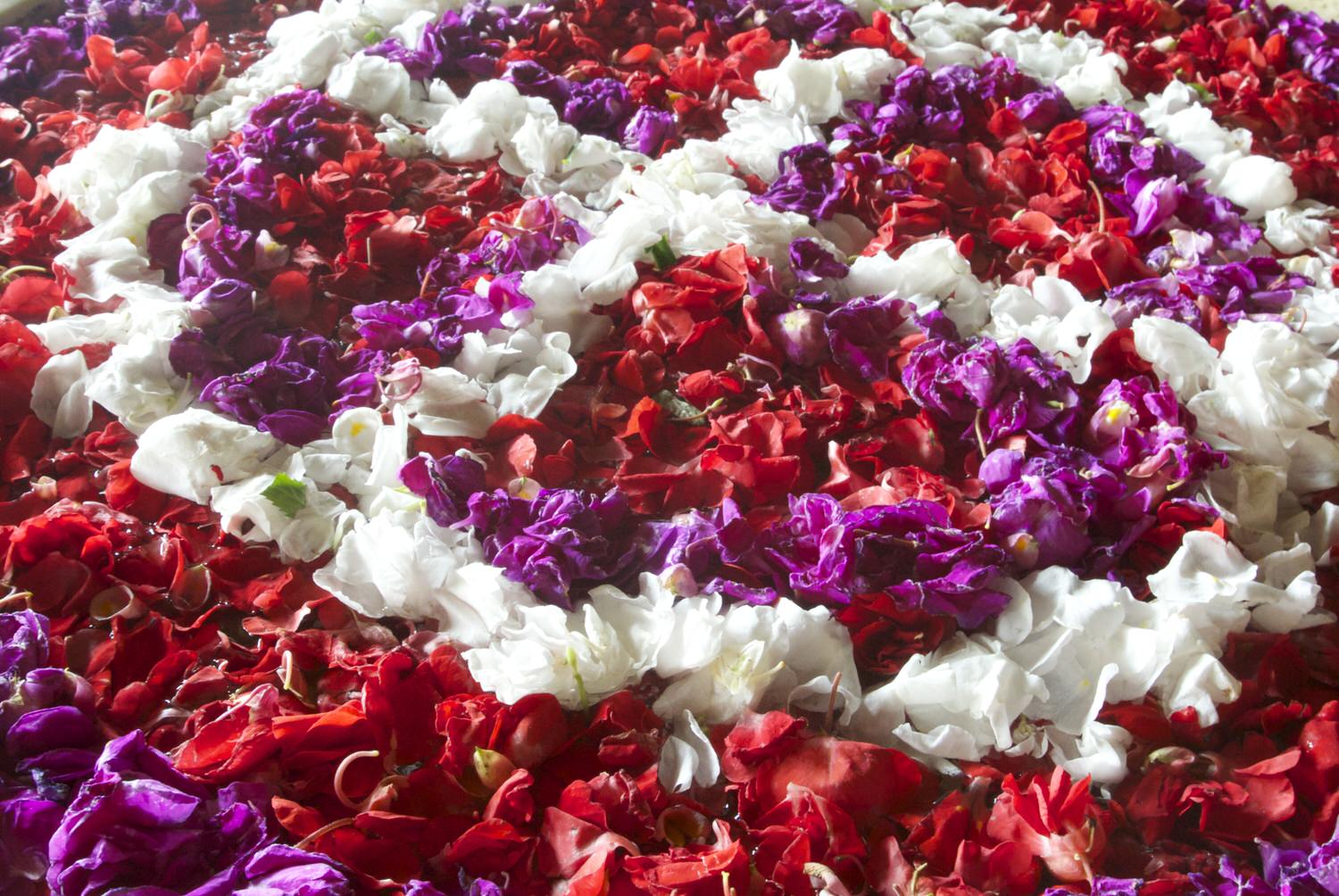 62 Bali Photos That Will Make You Want To Visit Bali | Almost Landing