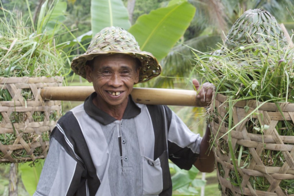 Balinese Man