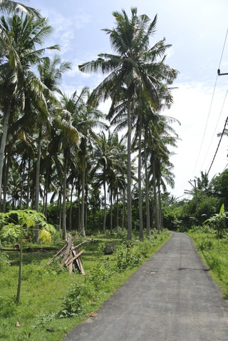 Nusa Lembongan Road