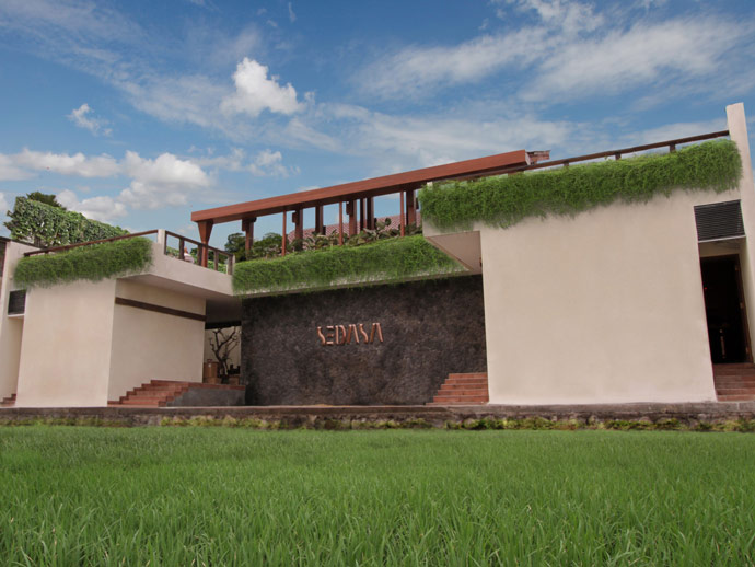 Sedasa Canggu